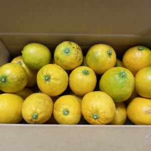 lemon2K